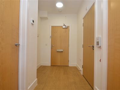 Picture 13